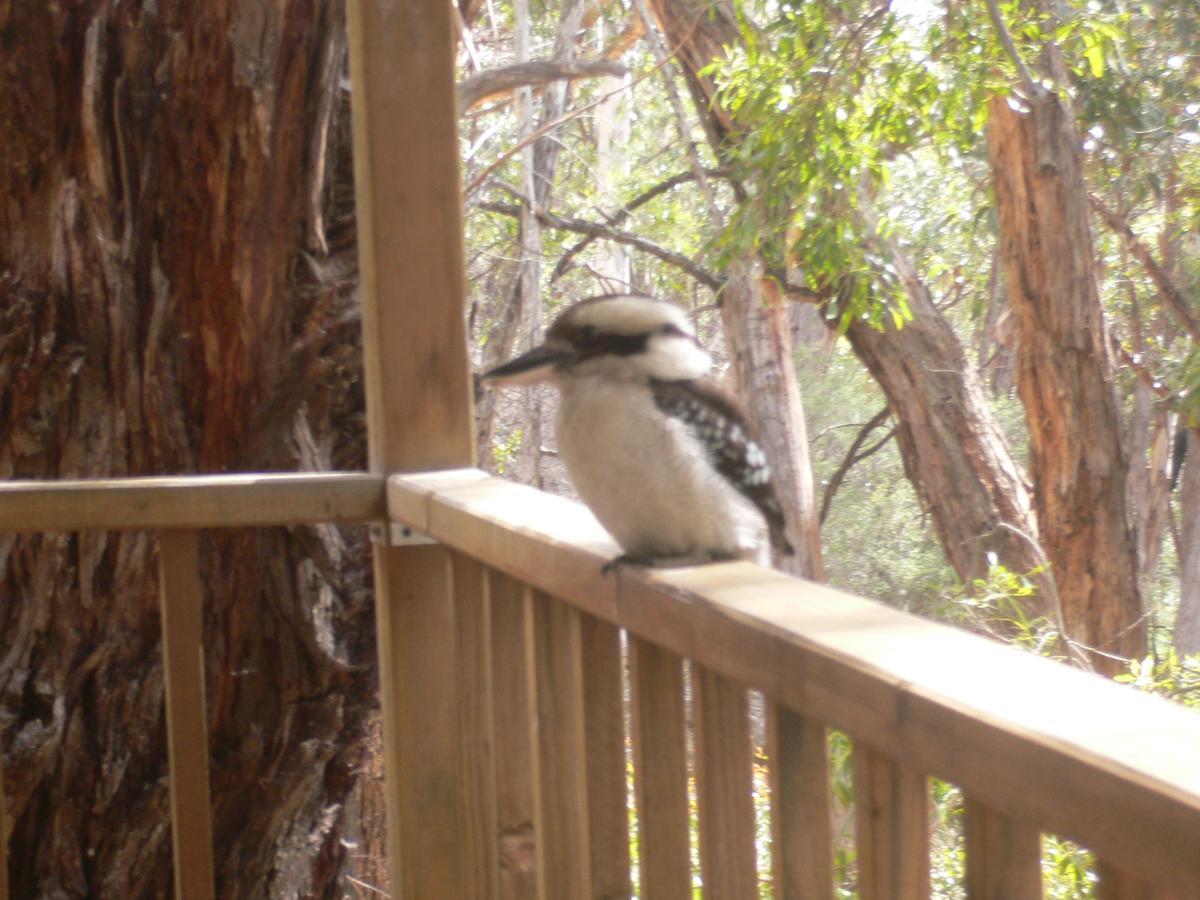 The Ledge Holiday House Halls Gap Exterior foto